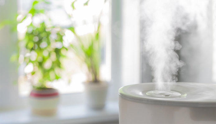 Vapor from humidifier in front of window with green plants