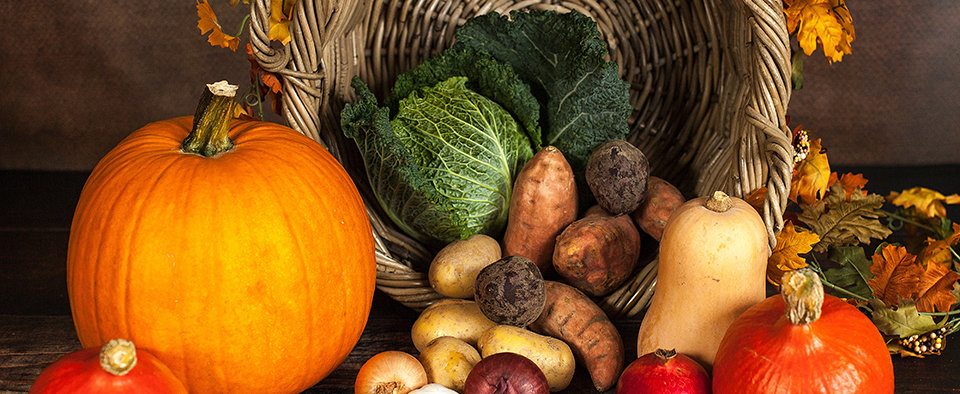 Fast growing fall vegetables guide